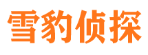 抚远市调查公司